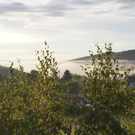 Gîtes du Taennchel Thannenkirch Extérieur photo