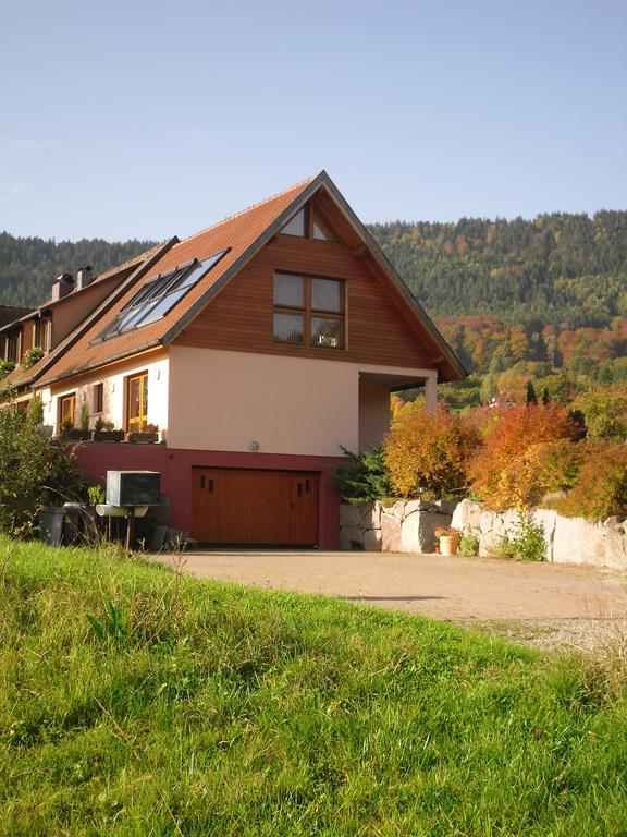 Gîtes du Taennchel Thannenkirch Extérieur photo