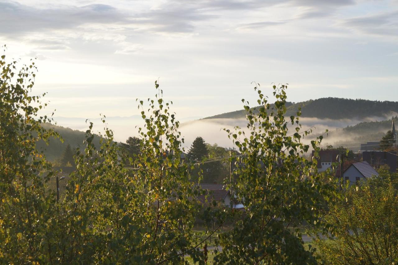 Gîtes du Taennchel Thannenkirch Extérieur photo